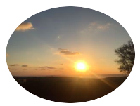 BUTTON 1